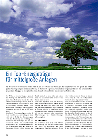 Flüssiggas: Top-Energieträger für mittelgroße Anlagen